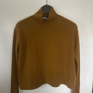 Everlane The Cashmere Square Turtleneck